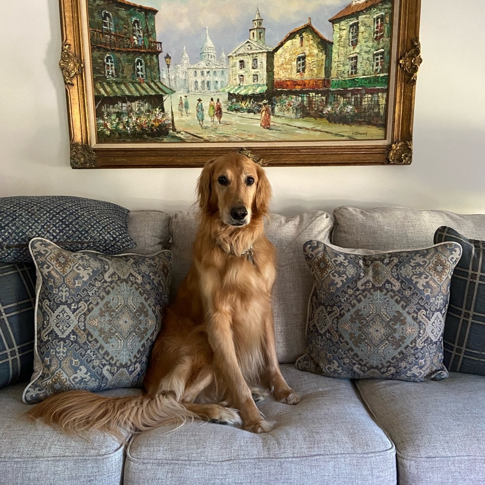 Meet your Posher, Kelsey